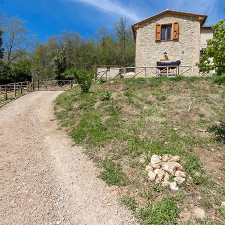 Apartment Podere Del Ciacchi Among Tuscany Greenery - Happy