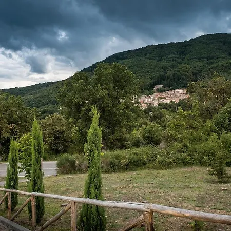 Podere Del Ciacchi Among Tuscany Greenery - Happy Apartment *