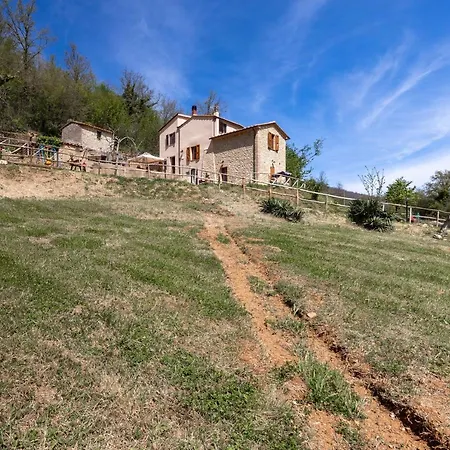 Podere Del Ciacchi Among Tuscany Greenery - Happy