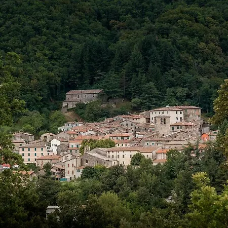 Podere Del Ciacchi Among Tuscany Greenery - Happy *