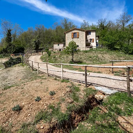 Podere Del Ciacchi Among Tuscany Greenery - Happy