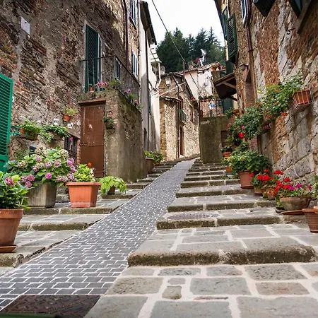 Podere Del Ciacchi Among Tuscany Greenery - Happy Apartment Montieri