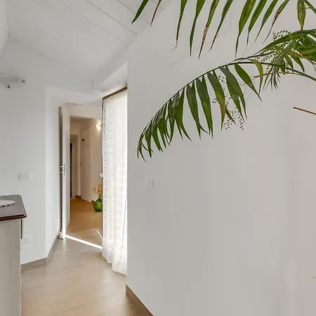 Apartment Podere Del Ciacchi Among Tuscany Greenery - Happy